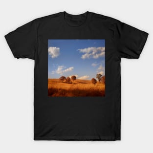 Autumn On The Prairie photograph T-Shirt